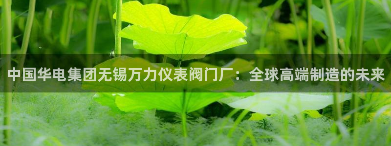 顺盈娱乐下载手机版官网