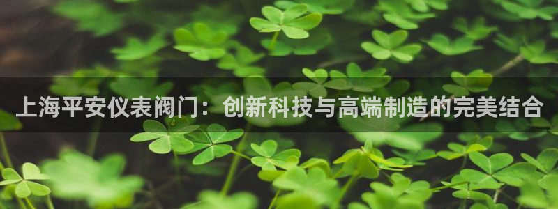 顺盈娱乐最高代理是谁