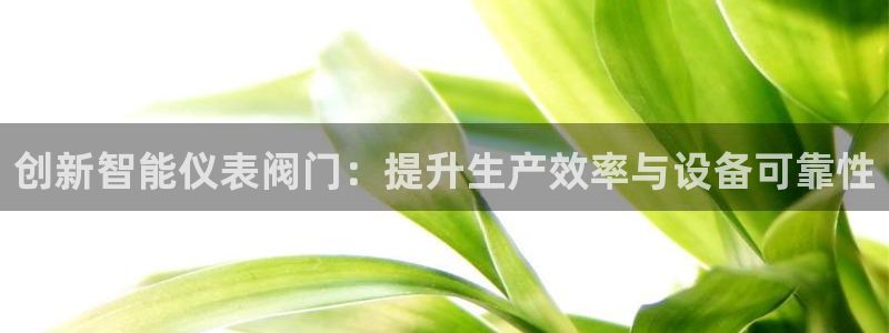 顺盈娱乐团购怎么样