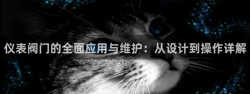清远顺盈广场娱乐