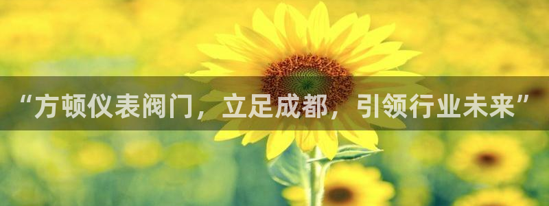 顺盈娱乐招商网判官333OO