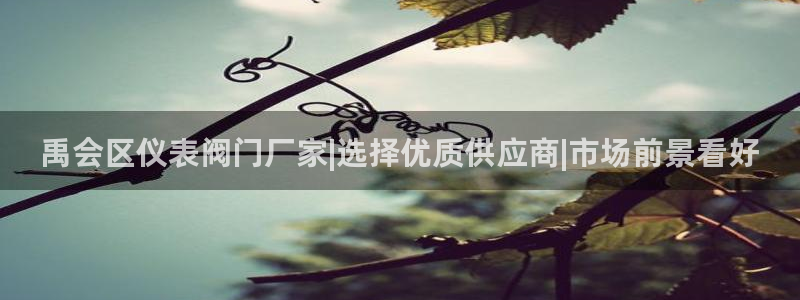 顺盈娱乐 找86555