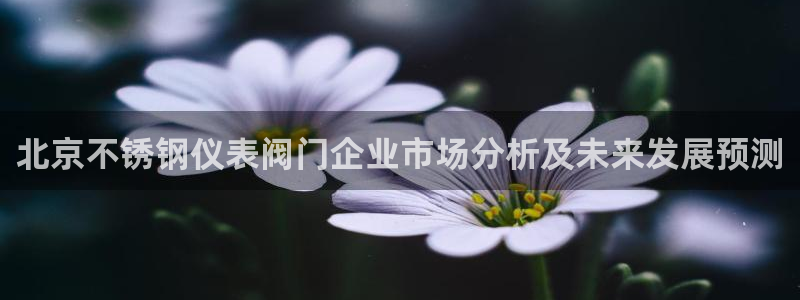 顺盈娱乐主管欲新判官333OO