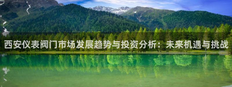 顺盈娱乐28是什么?
