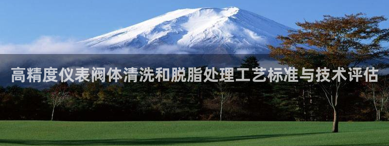 顺盈娱乐登录平台网址