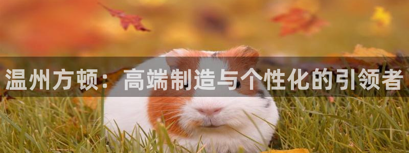 顺盈2娱乐彩票