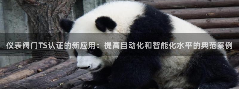 清远顺盈游戏娱乐