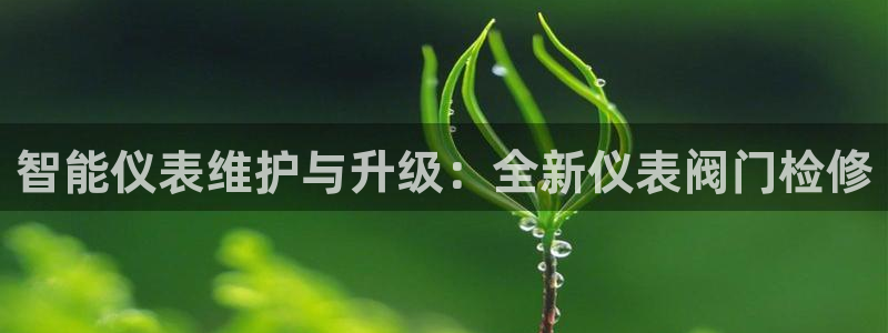 顺盈娱乐招商片判官333OO