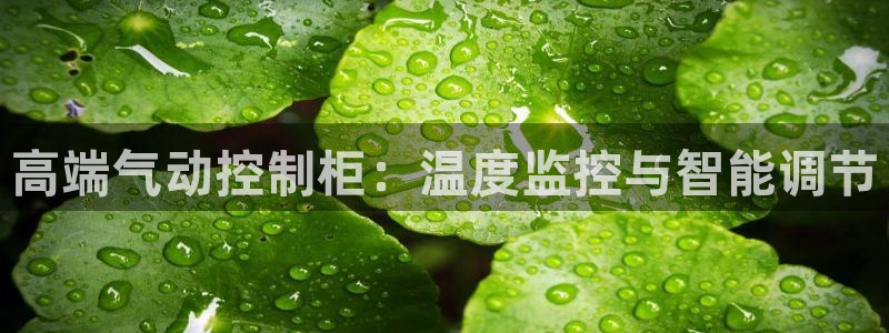 顺盈娱乐形究7276O