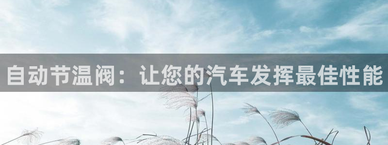 顺盈娱乐是什么意思