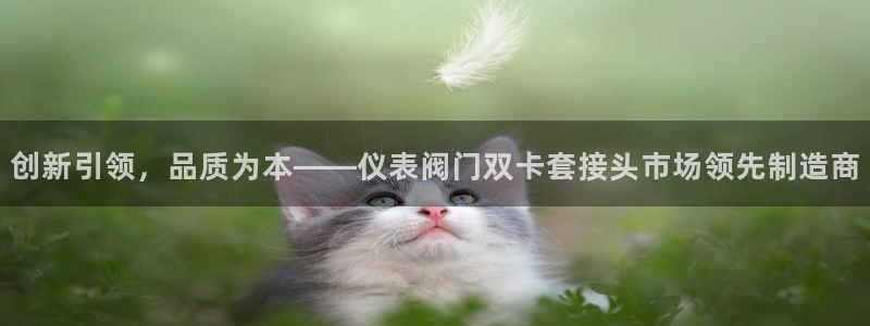 清远顺盈娱乐公司工作