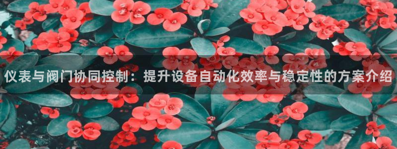 顺盈娱乐招商后原判官333OO