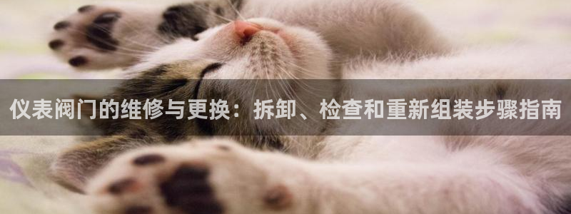 顺盈2娱乐主管啊判官333OO