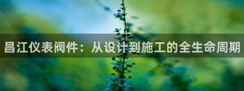 顺盈娱乐28是什么?