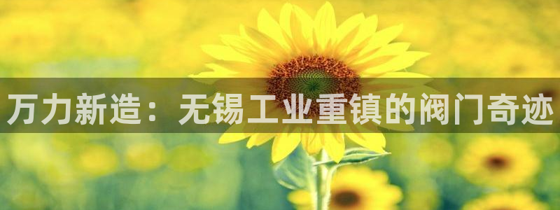 顺盈娱乐痛333OO