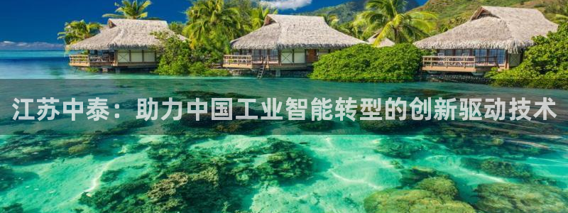 顺盈娱乐975949