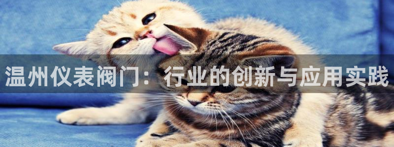顺盈娱乐最高代理是谁