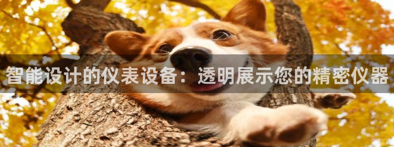 顺盈娱乐注册q779O3唐老鸭