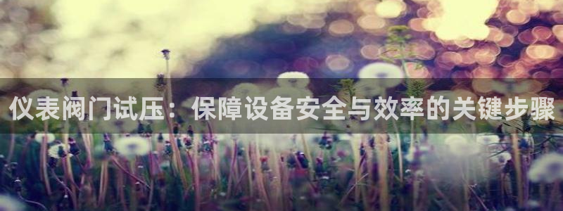 顺盈娱乐是什么