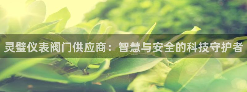 顺盈娱乐28是什么