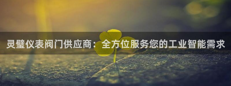 顺盈娱乐彩票怎么样啊