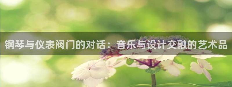 顺盈娱乐最高代理人