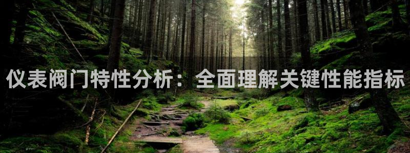 顺盈娱乐注册平台官网