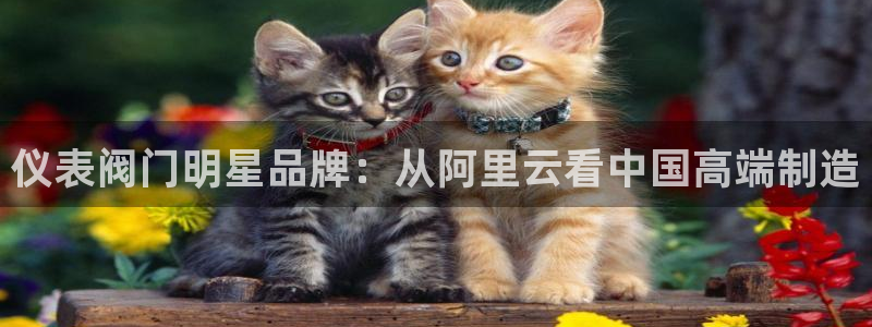顺盈娱乐下载安装