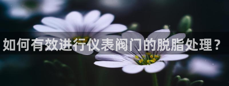 顺盈2娱乐主管啊判官333OO