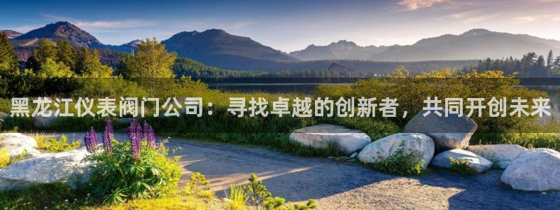 顺盈娱乐平台官网下载