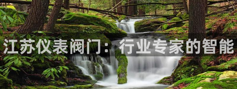 顺盈娱乐注册资金多少