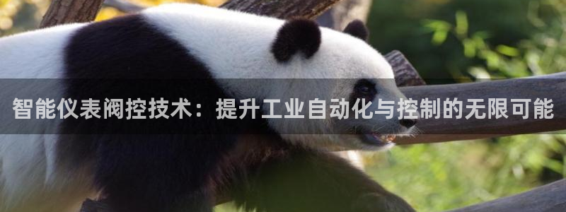顺盈娱乐主管欲新判官333OO