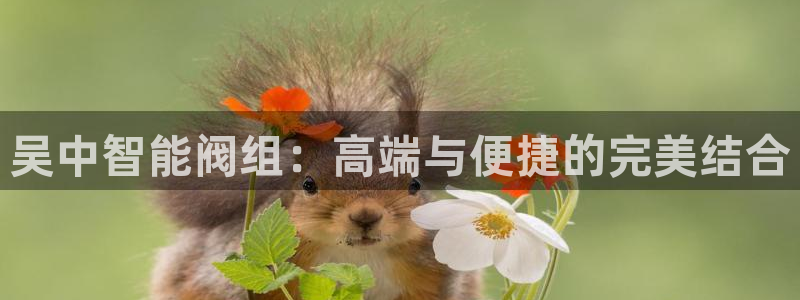 顺盈娱乐2