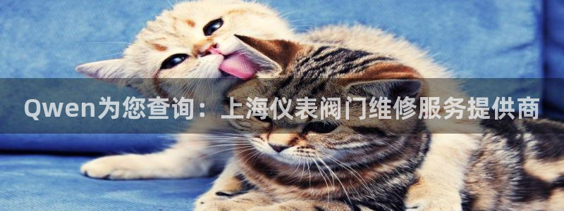 顺盈娱乐件究7276O