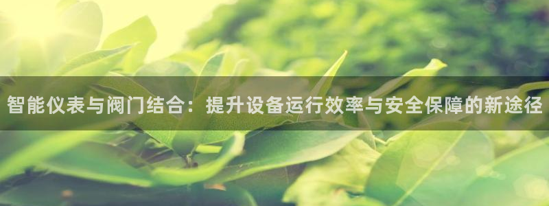 顺盈娱乐代理