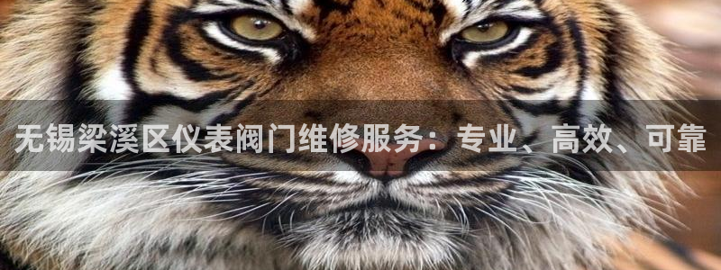 顺盈广场团购娱乐怎么样