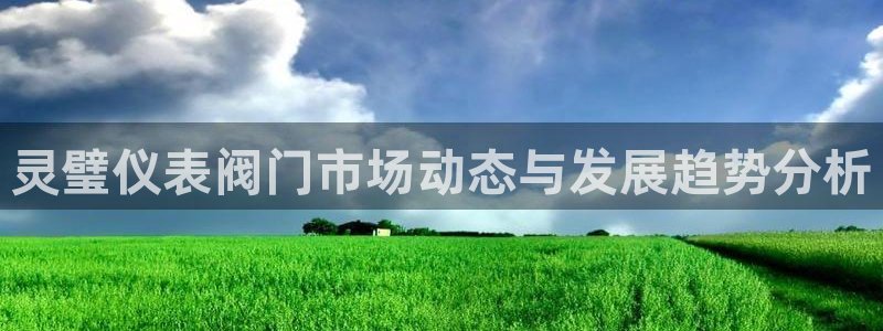 顺盈娱乐猪