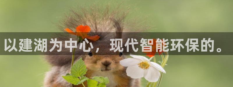 娱乐顺盈国际