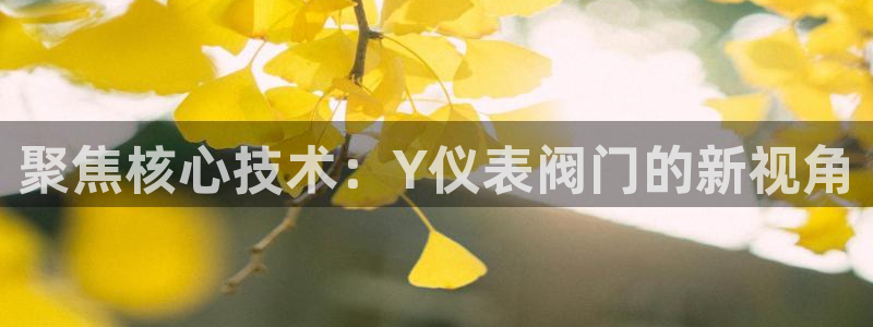顺盈娱乐总代理是谁