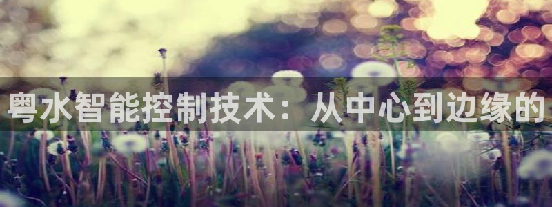顺盈娱乐是什么意思