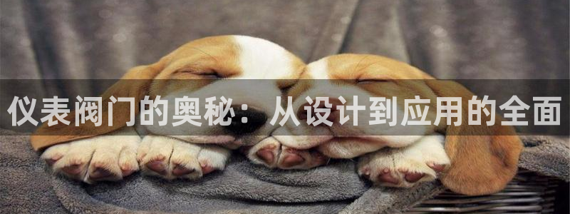 顺盈娱乐场所