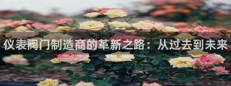 顺盈娱乐招商右原判官333OO