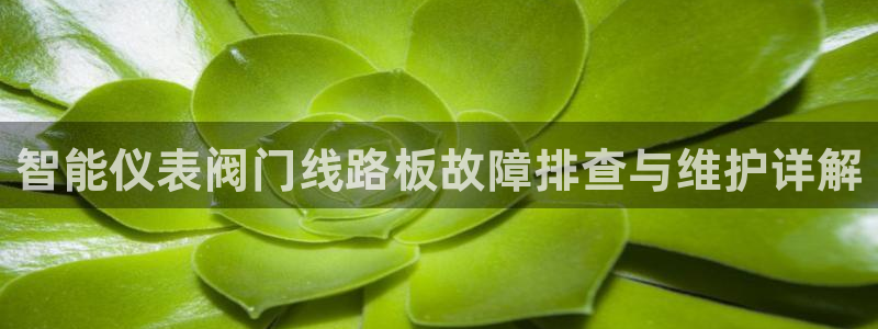顺盈娱乐地址