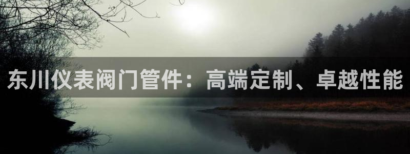 清远顺盈娱乐公司地址