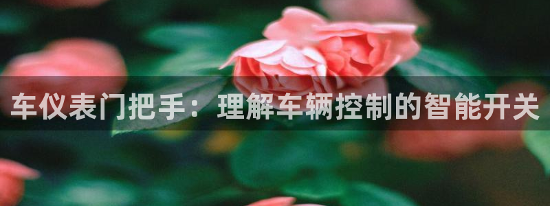 清远顺盈娱乐公司地址