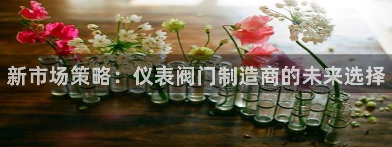 顺盈娱乐 炤企鹅779O3