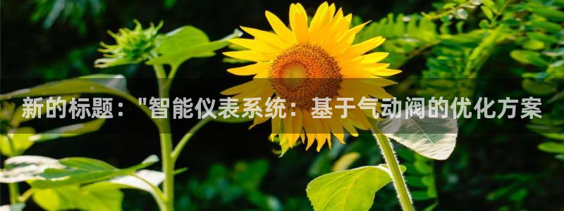 顺盈娱乐总代理是谁