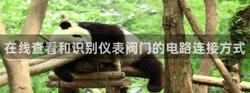 顺盈娱乐下载安装