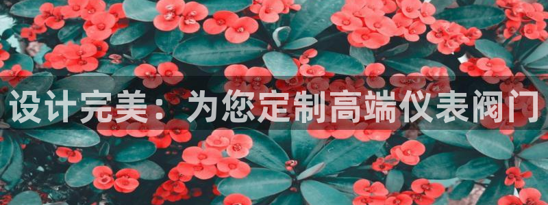 顺盈娱乐下载安装