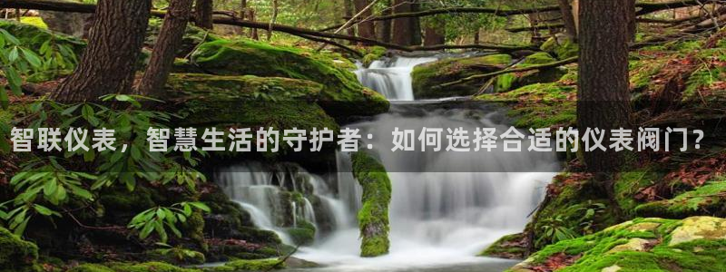 顺盈娱乐主管劳判官333OO